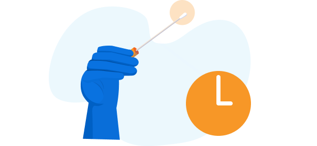 Rapid PCR Testing img