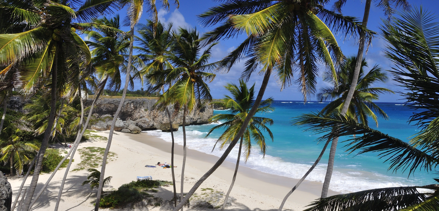 Safe and healthy travels with COVID Credentials™